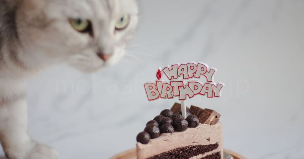 猫とケーキ