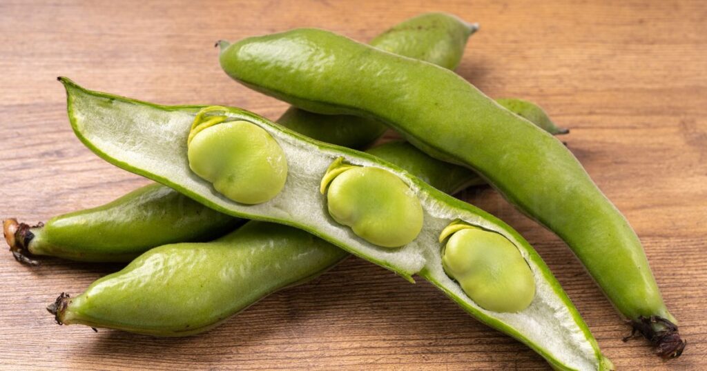 そら豆