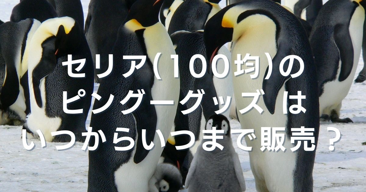 アイキャッチ画像