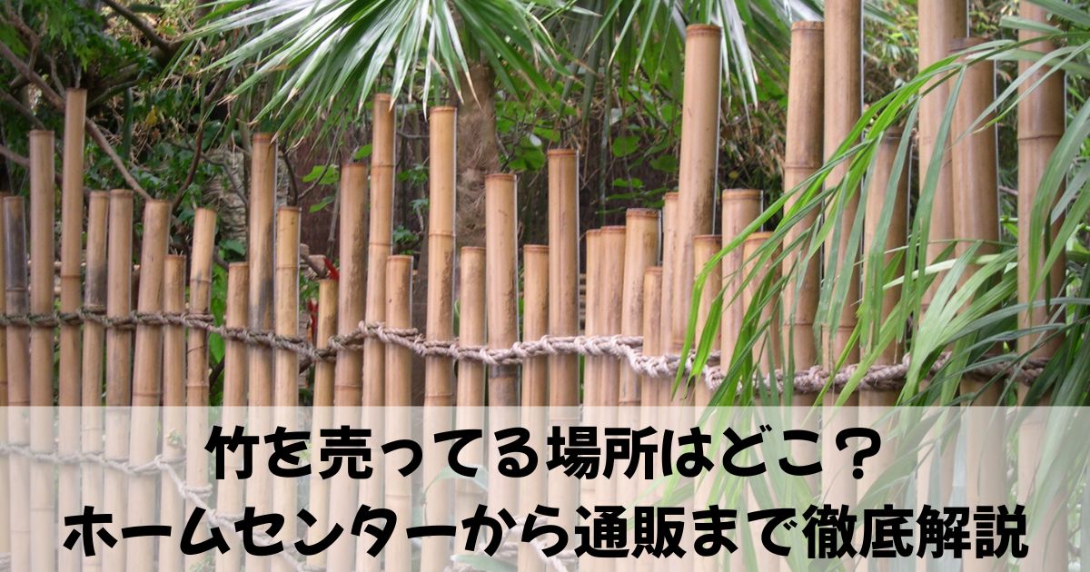 アイキャッチ画像